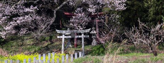 In Shinto, deity dwells everywhere.