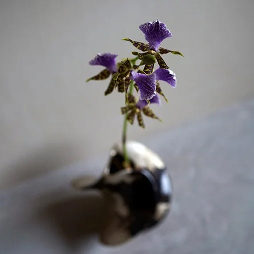 "Flower vase [WALTZ]（nickel silver × Brass）  NIPPONDO